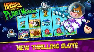 bmg bet